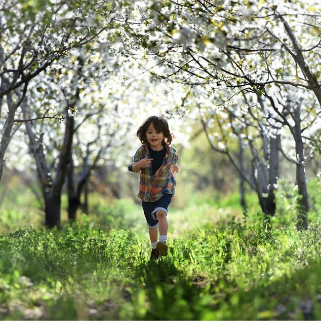 iaks-de_unsere-idee3