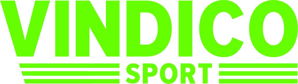 vindico logo