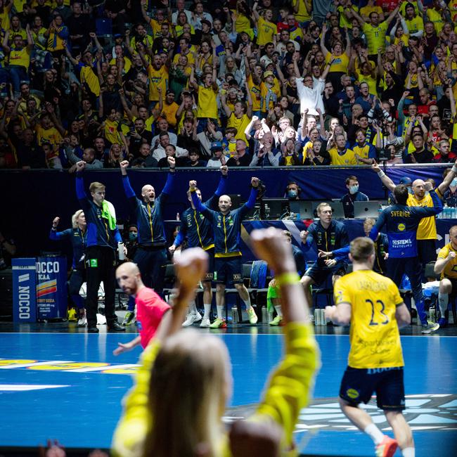 Nüssli Handball WM Arena 