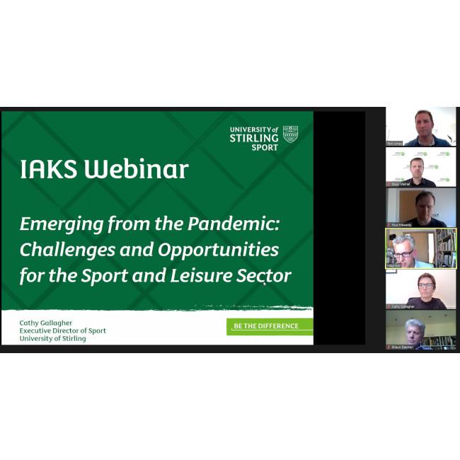 2021 UK Webinar Pandemic _screenshot panel