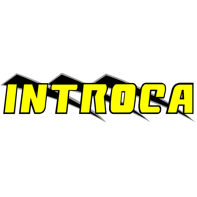 introca amarillo logo 3301.png