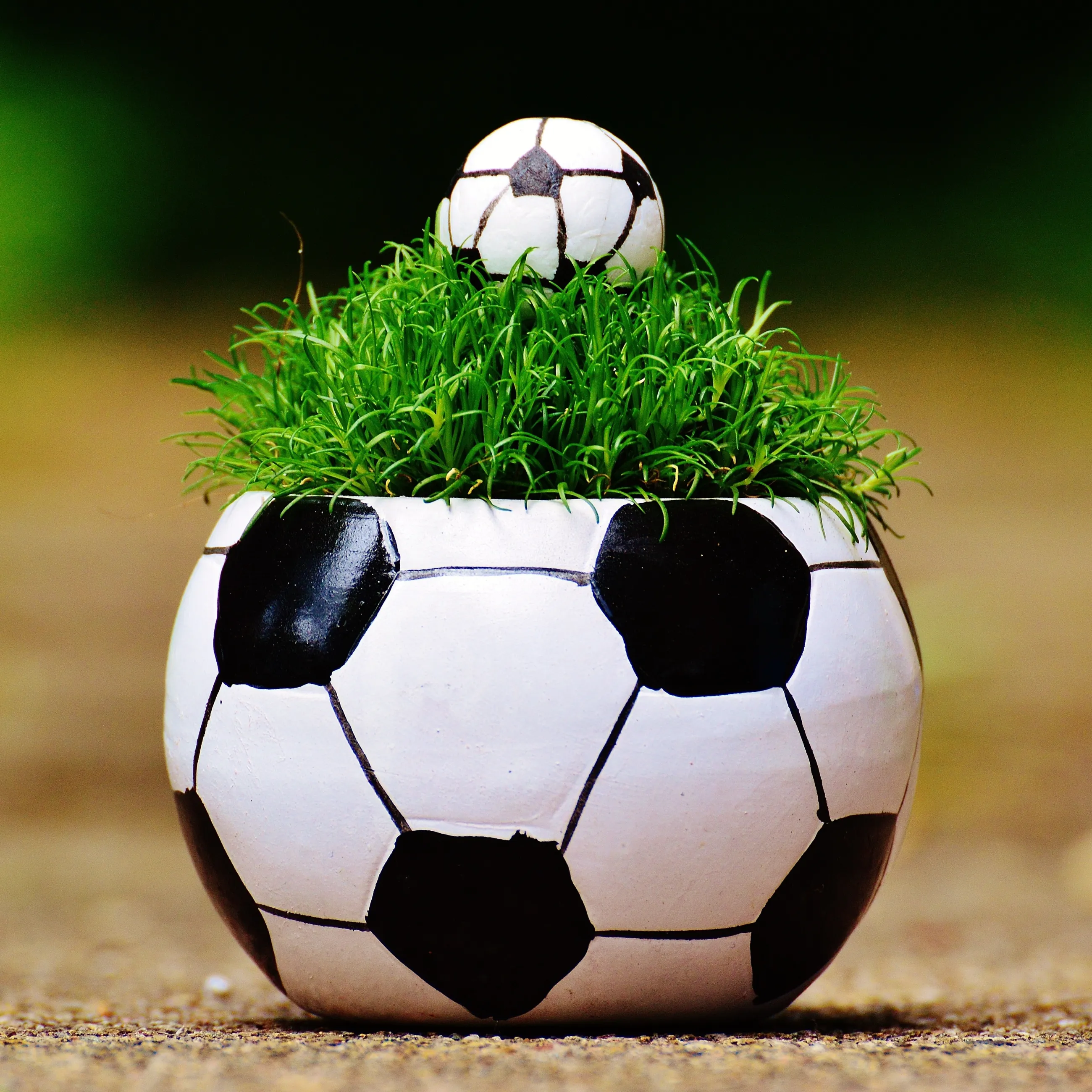 Fußball mit Gras
