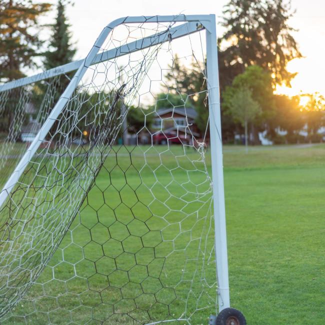 soccer goal net on field of grass l32FnywF7Fk-unsplash steve-smith 650.jpg