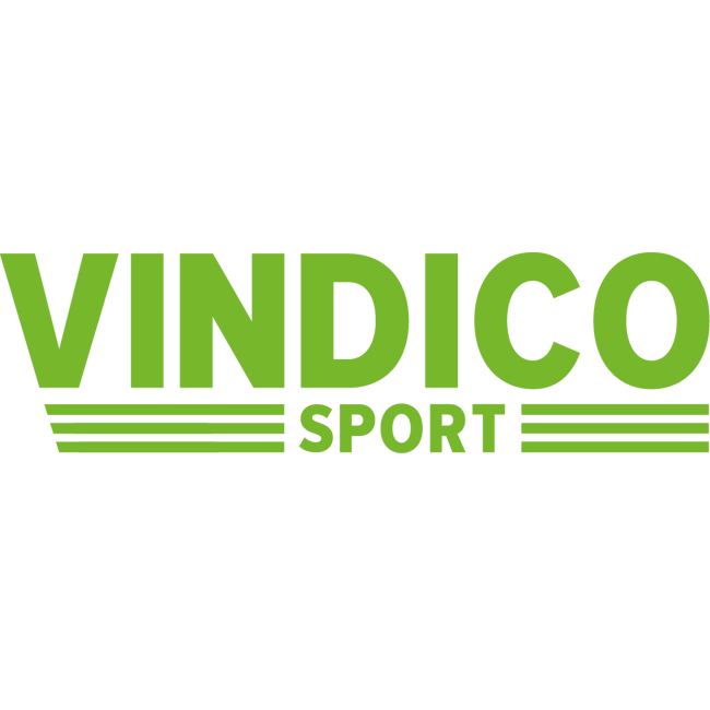 Vindico_Logo_2928 as of 2025.png